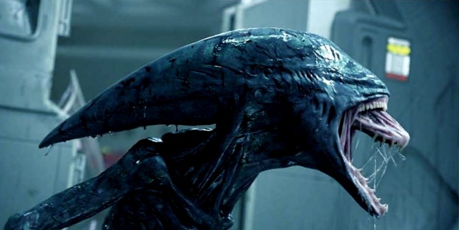 Alien: in arrivo un nuovo film?